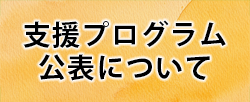 支援プログラム公表